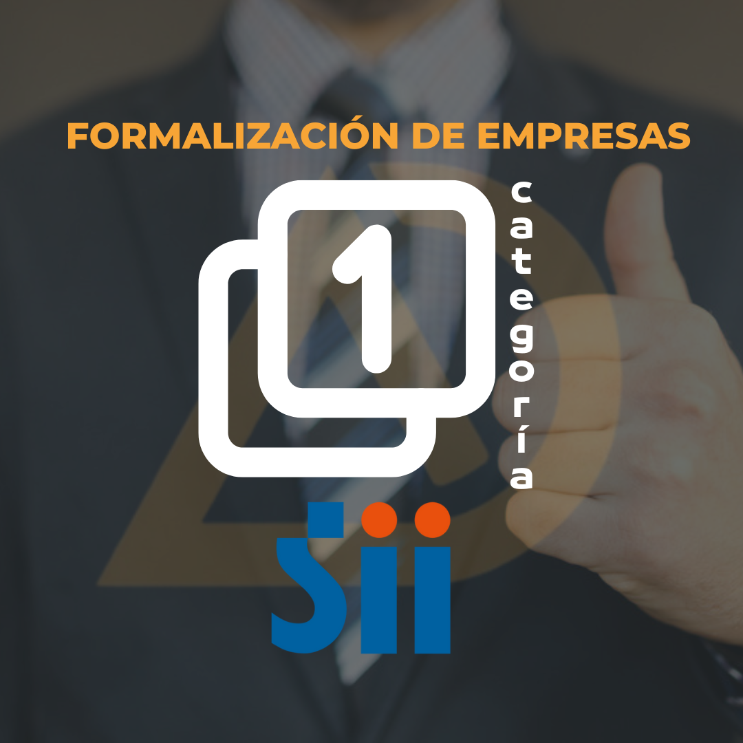 Inicio de Actividades - Persona Natural